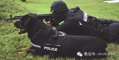 图片 4.jpg