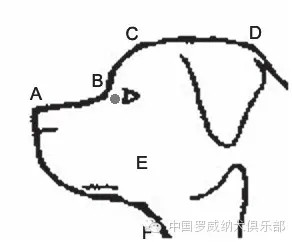 图片 6.jpg