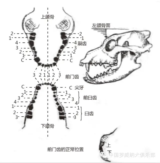 图片 8.jpg