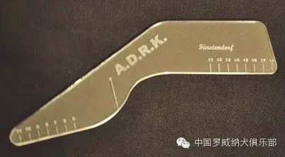 图片 7.jpg