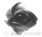 图片 10.jpg