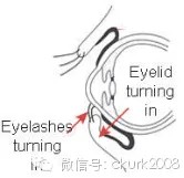图片 20.jpg